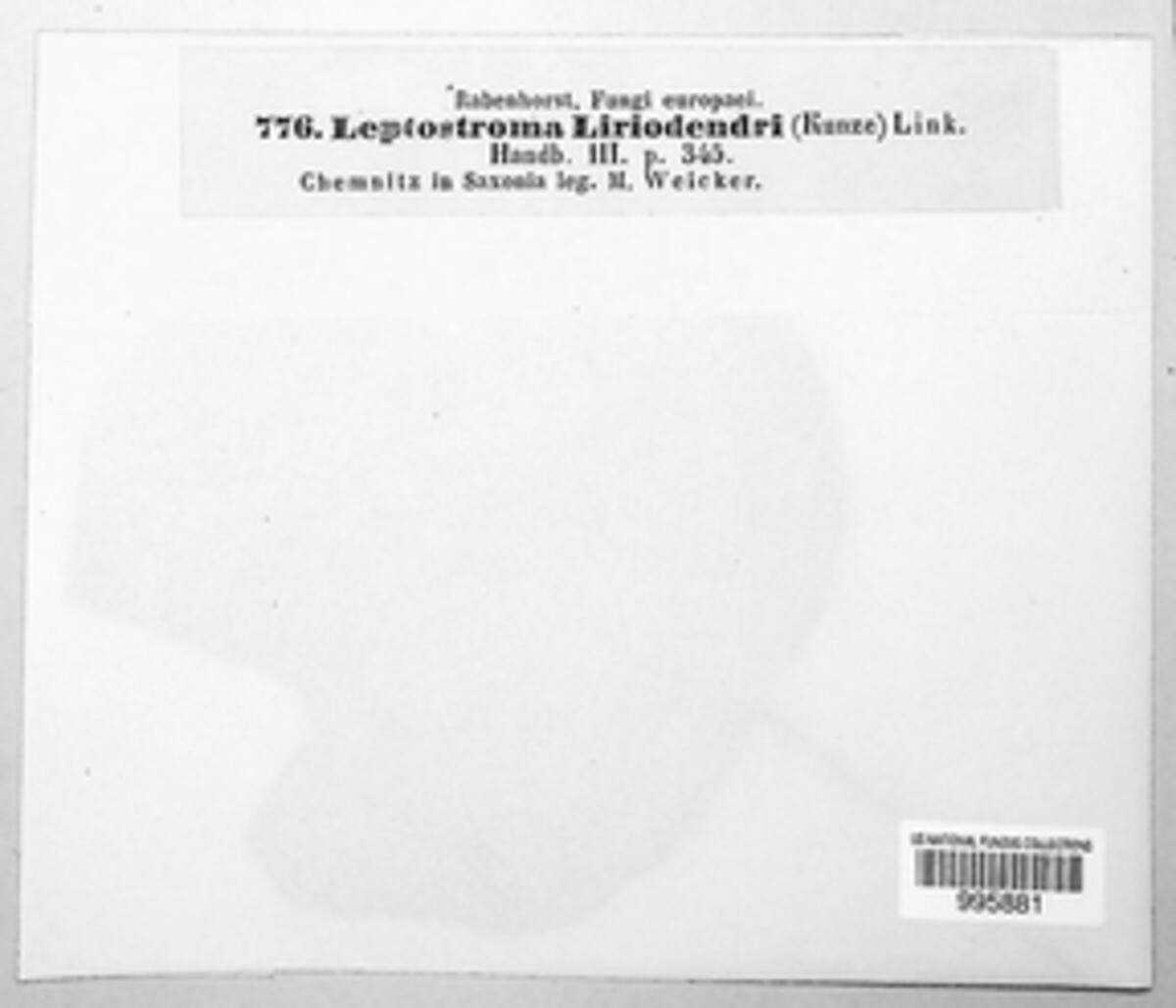 Ectostroma image